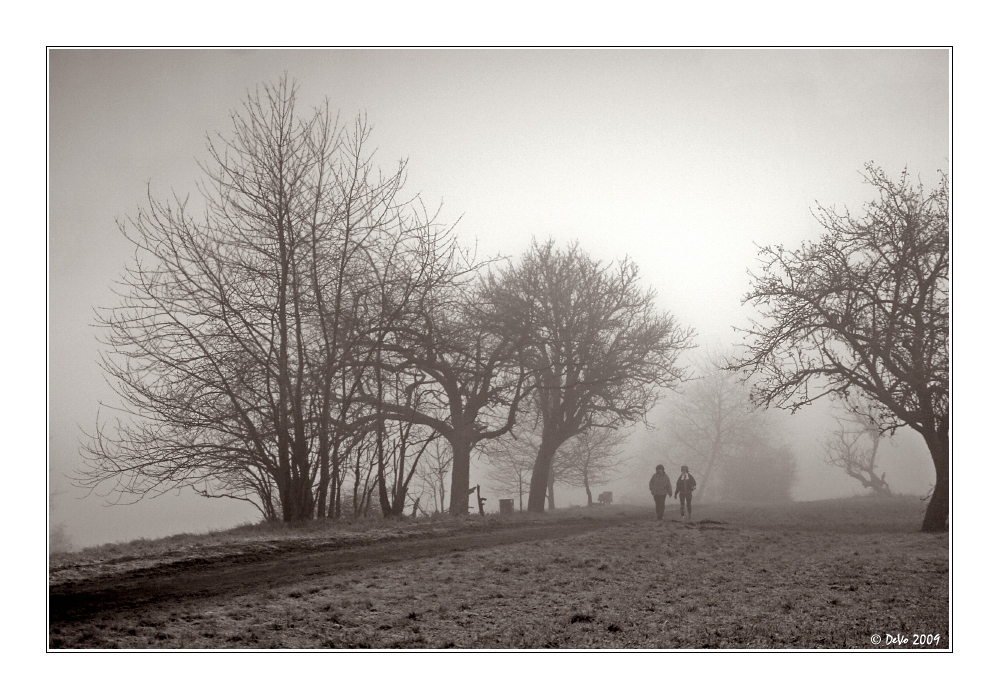 Winter Tristesse