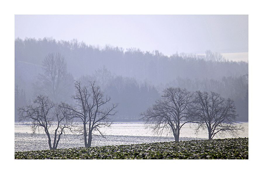 Winter über den Feldern ~ Im Gegenlicht
