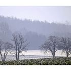 Winter über den Feldern ~ Im Gegenlicht