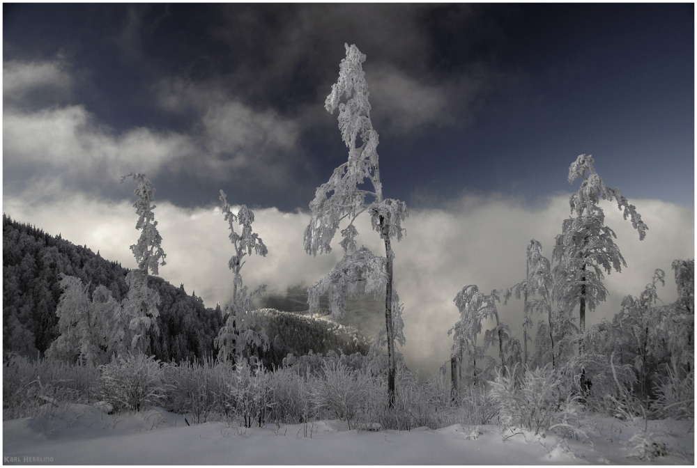 Winter über den Wolken