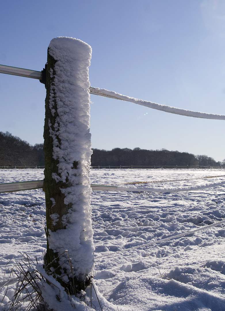 Winter überall