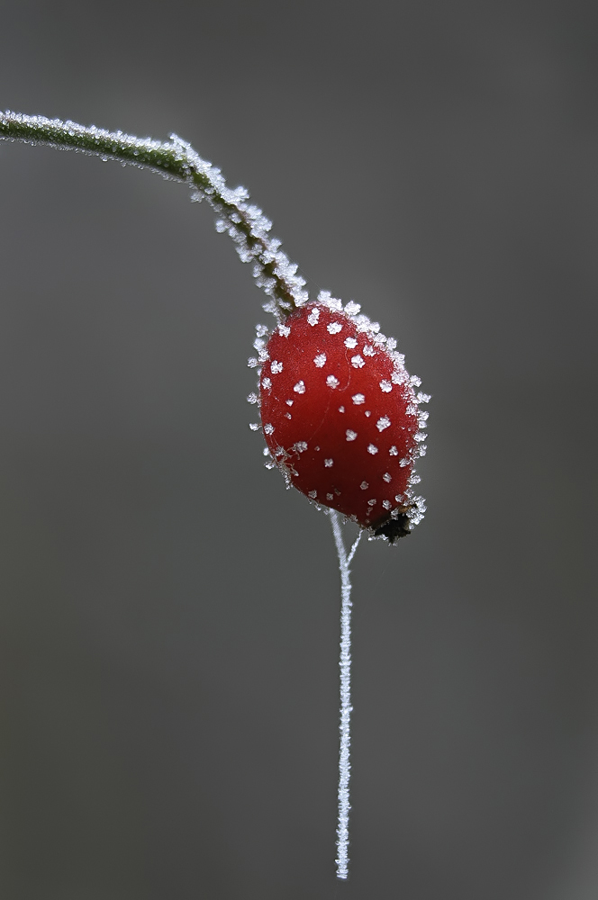 Winter-Überhang