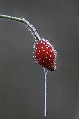 Winter-Überhang