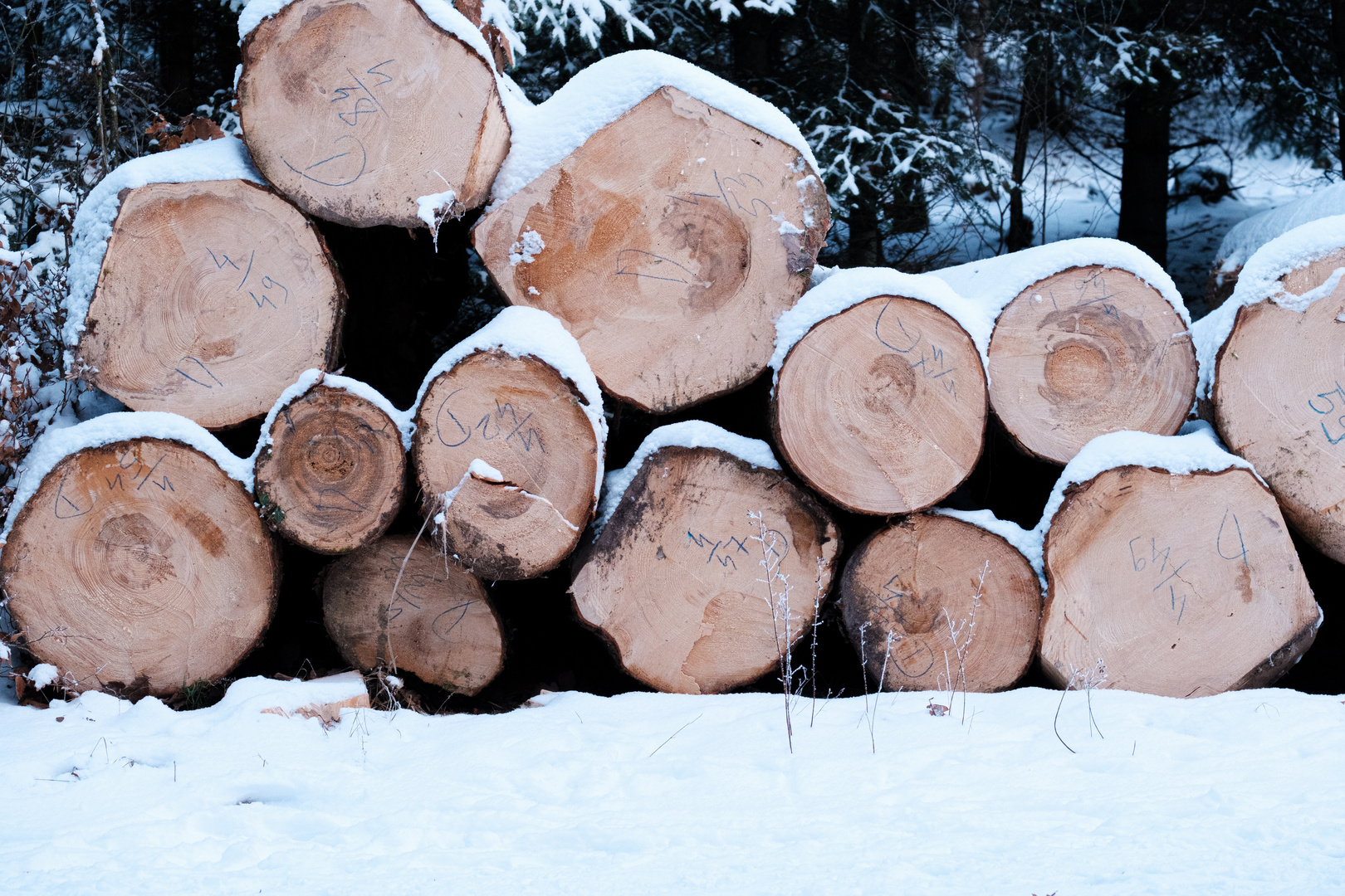 Winter - üppiger Vorrat 