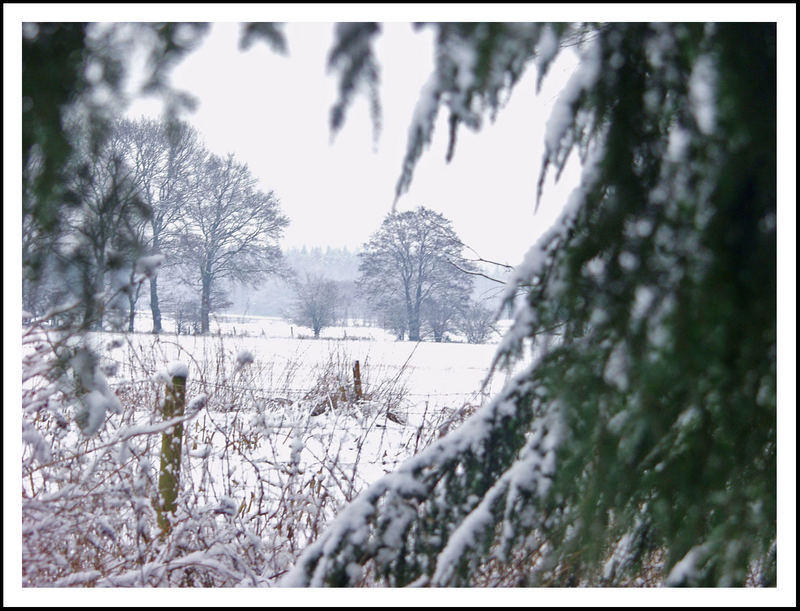 Winter.... und das im Frühling!