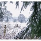 Winter.... und das im Frühling!