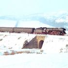 Winter und Eisenbahn einst 1981 in Thüringen
