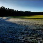 Winter und Frühling