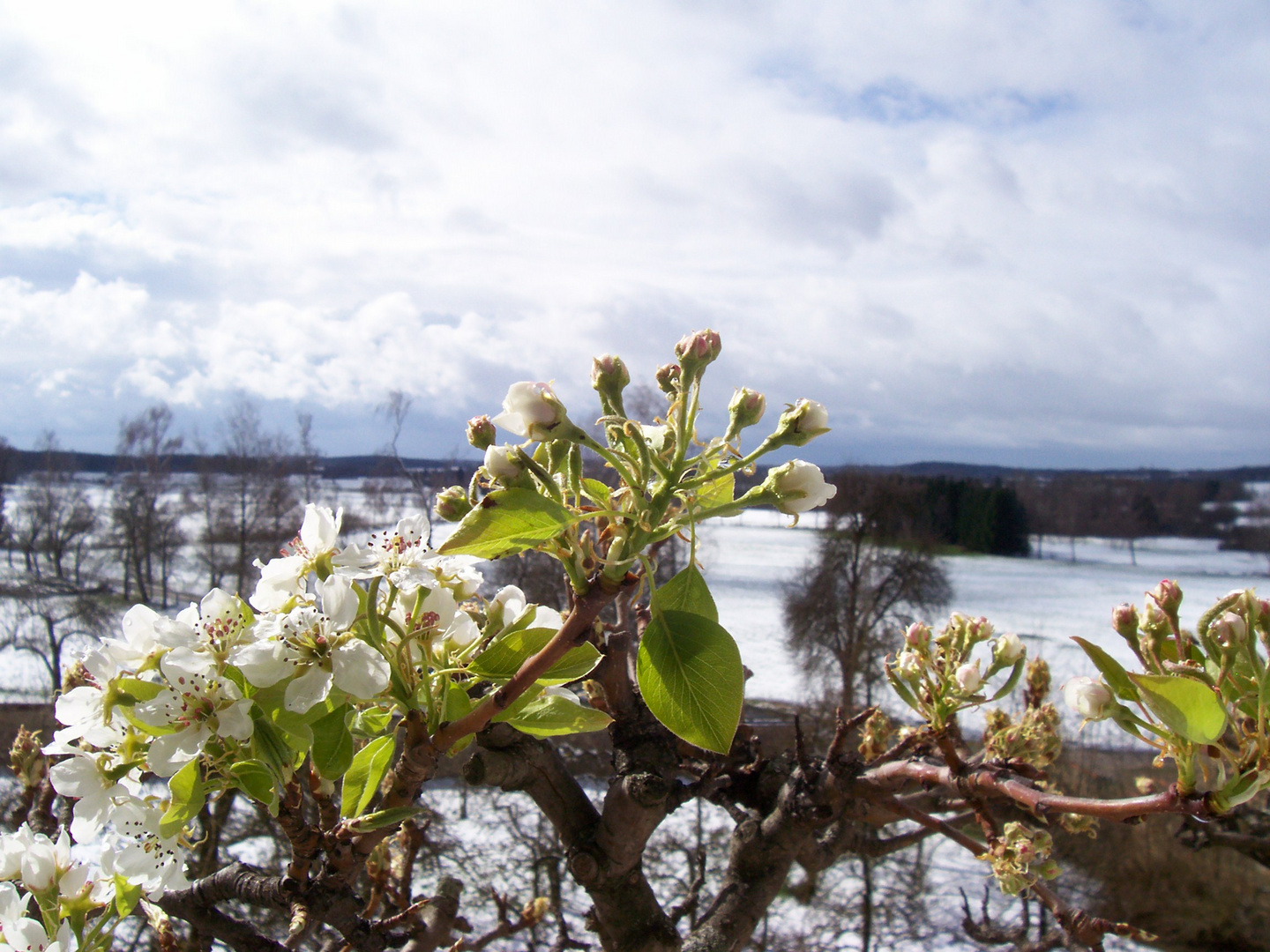 Winter und Frühling an einem Ort