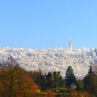 Winter und Herbst