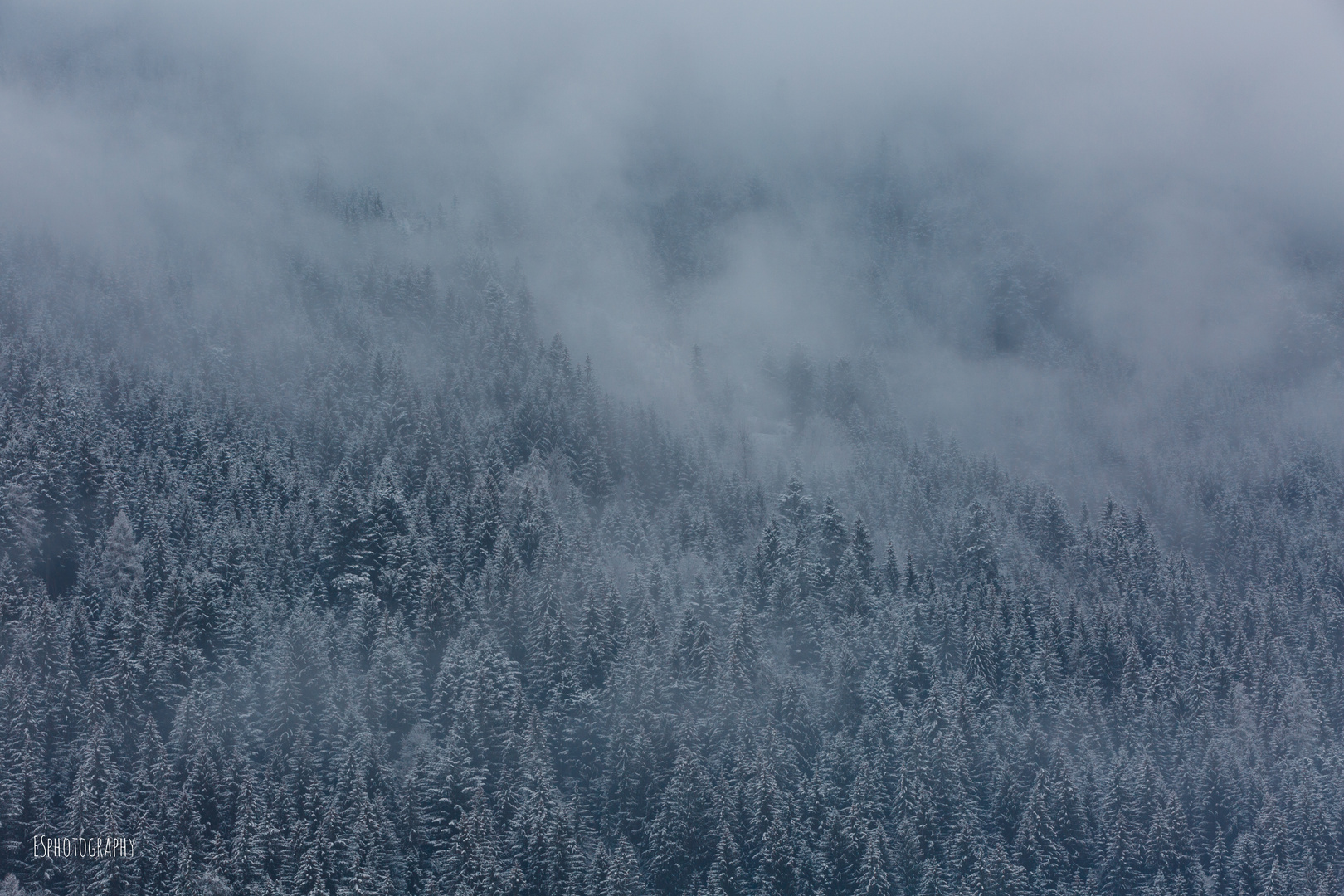 Winter und Nebel