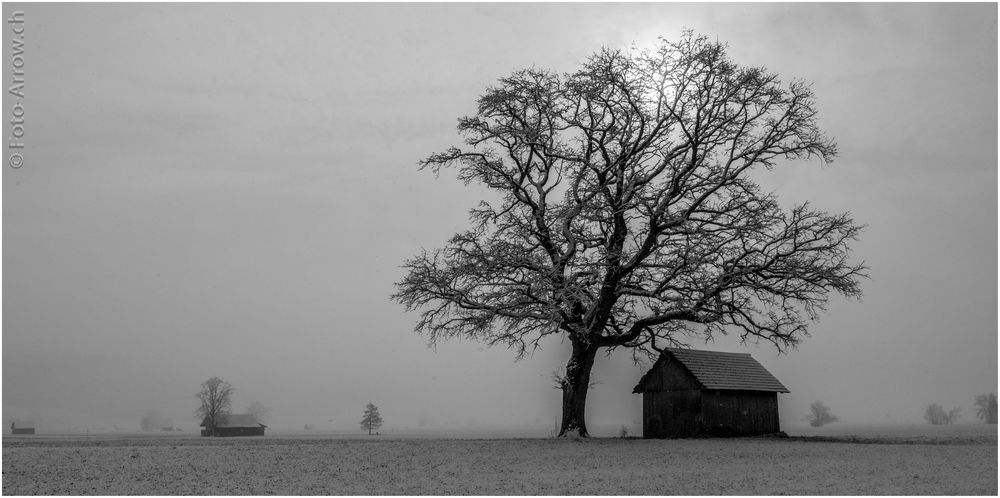 Winter und nur wenig Schnee ...