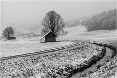 Winter und nur wenig Schnee ...