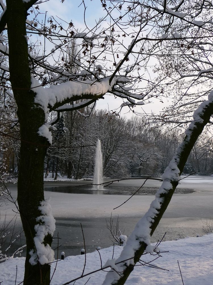 winter ........und ruhe herrscht am teich