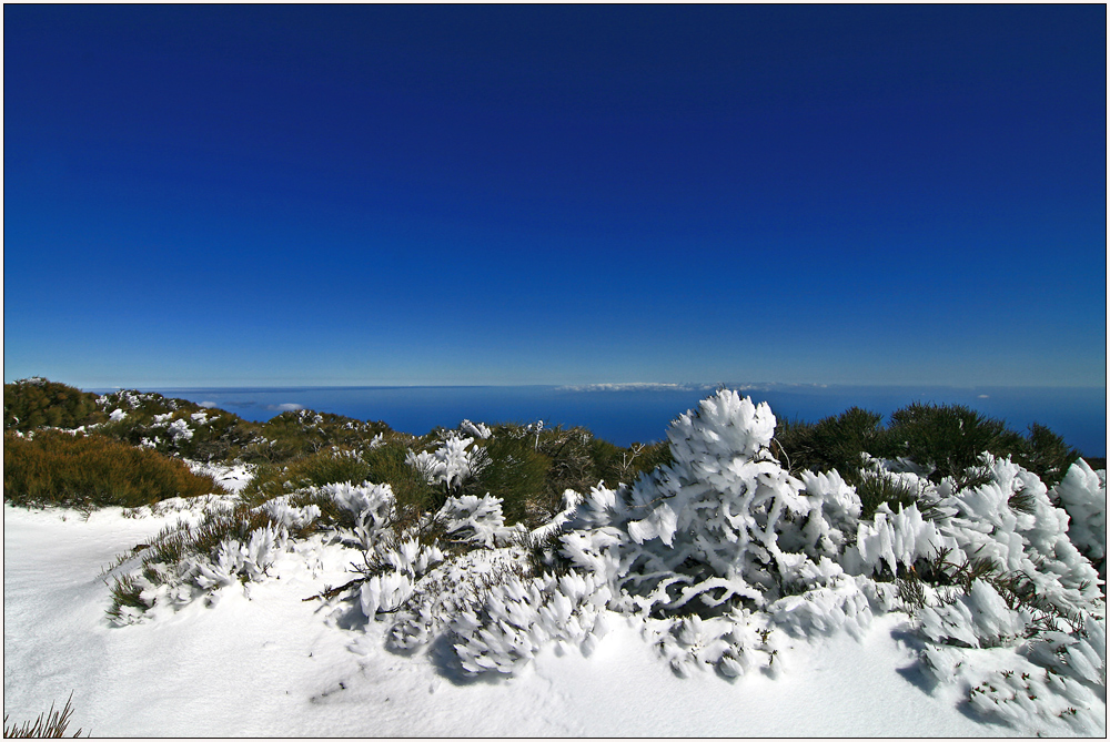 Winter und Sommer auf einem Bild