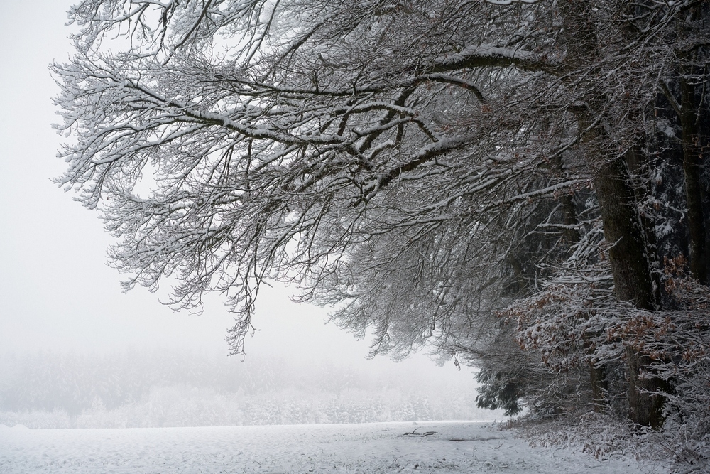 Winter und Sonne