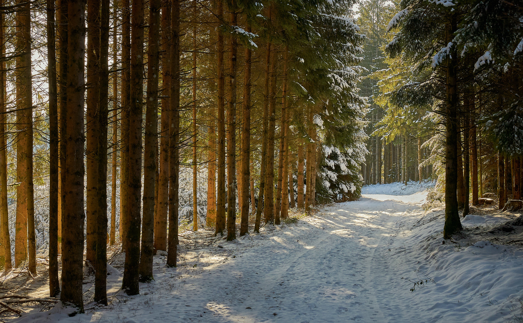 Winter und Sonne...