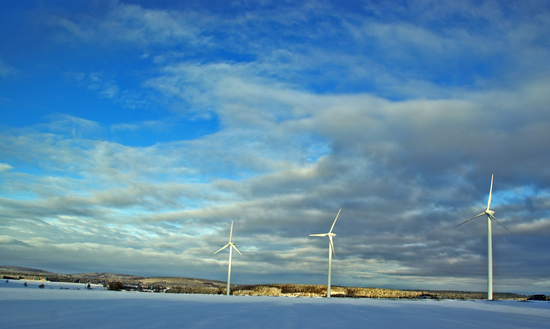 Winter und Wind