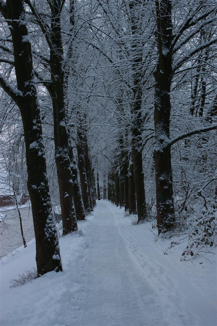 Winter: Untere Promenade in Menden