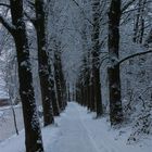 Winter: Untere Promenade in Menden