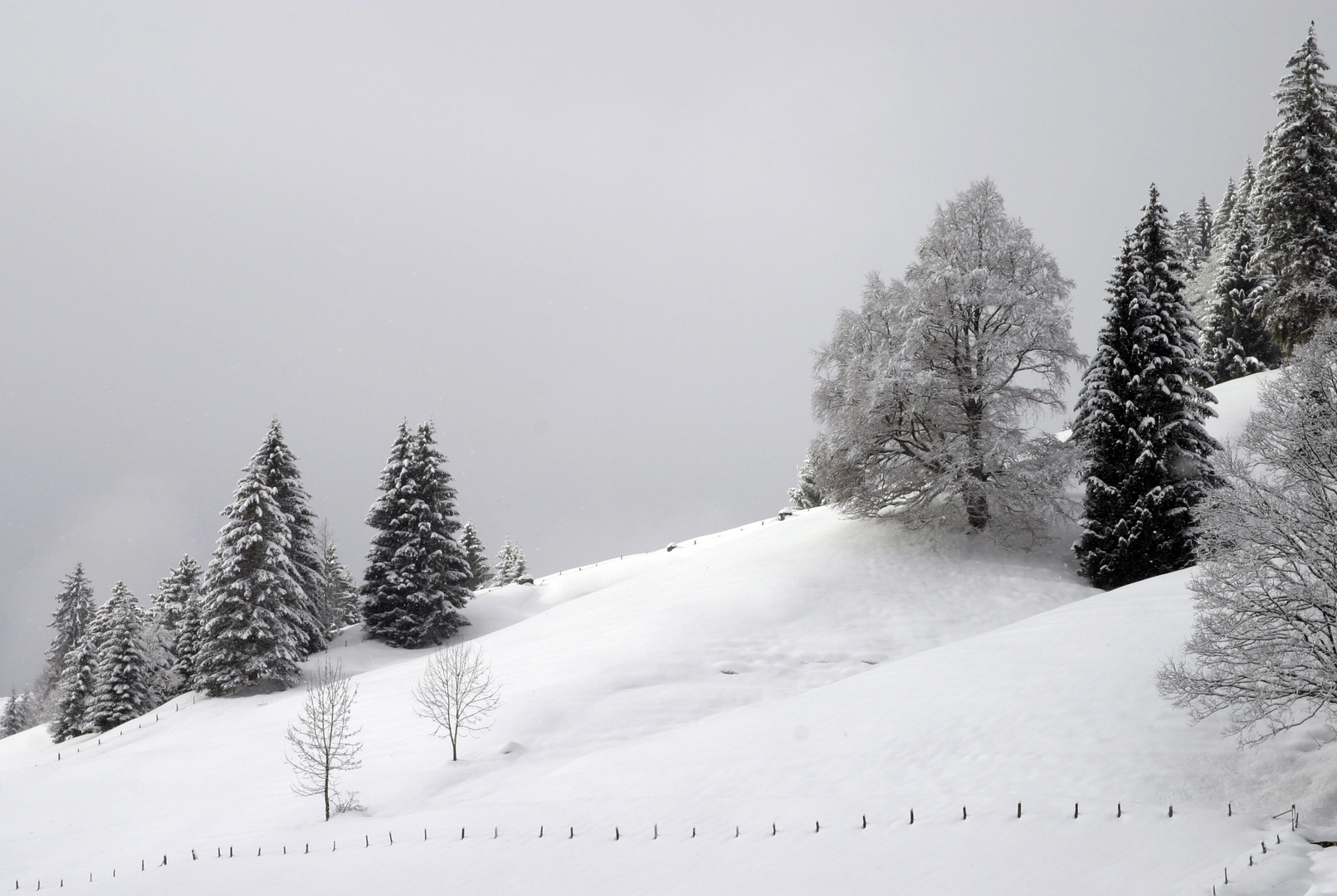 Winter Unterjoch