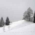 Winter Unterjoch