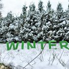 Winter - Variante IV