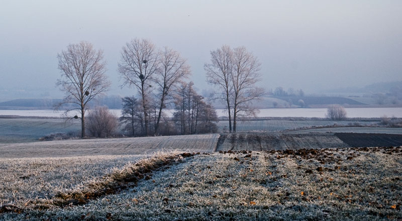 winter view