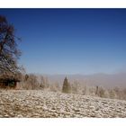 Winter View - Winteraussicht