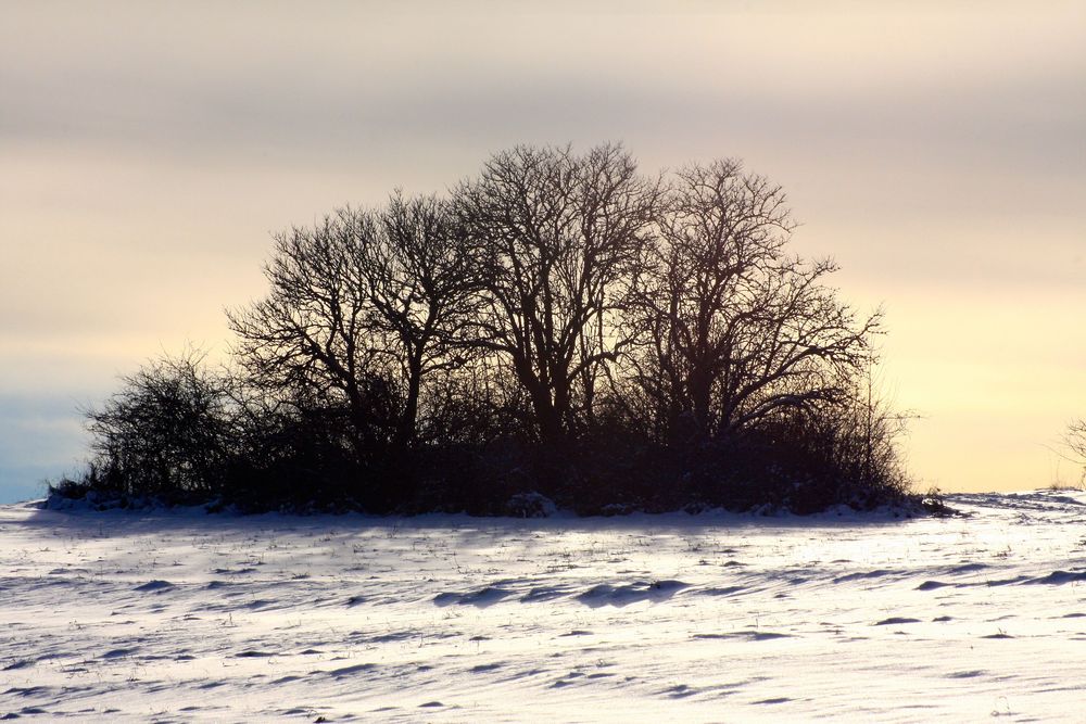 Winter von der schöneren Seite I