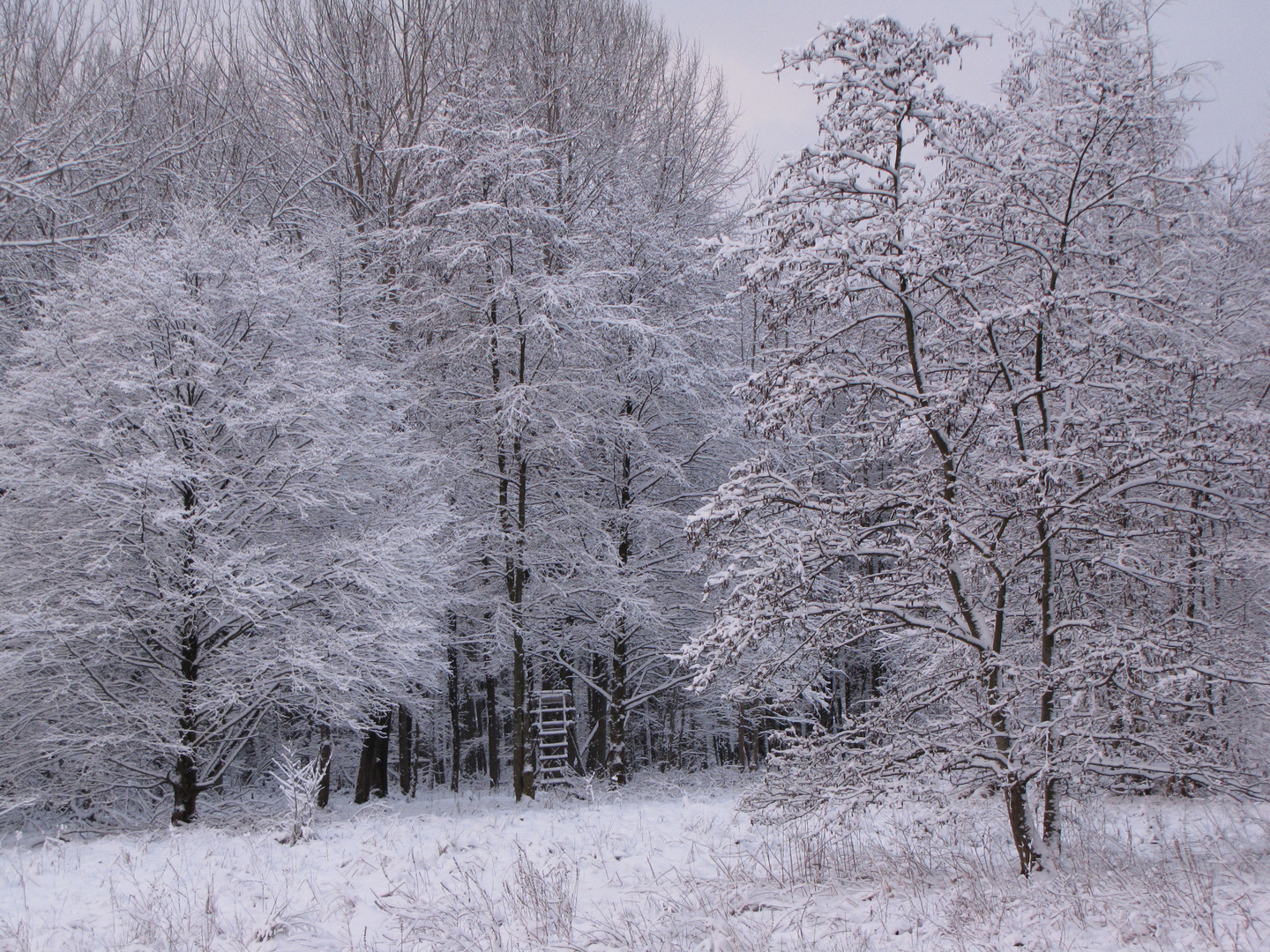 Winter von der schönsten Seite