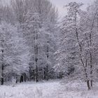 Winter von der schönsten Seite