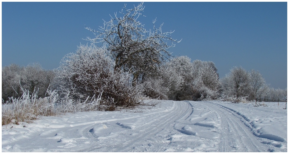 Winter von der schönsten Seite