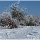 Winter von der schönsten Seite