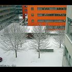 Winter von meinem Arbeitsplatz aus.....