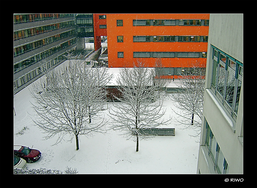 Winter von meinem Arbeitsplatz aus.....