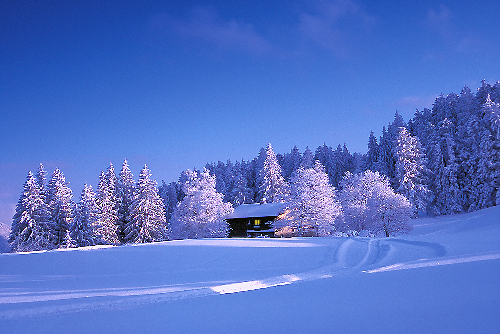 Winter von seiner schönen Seite