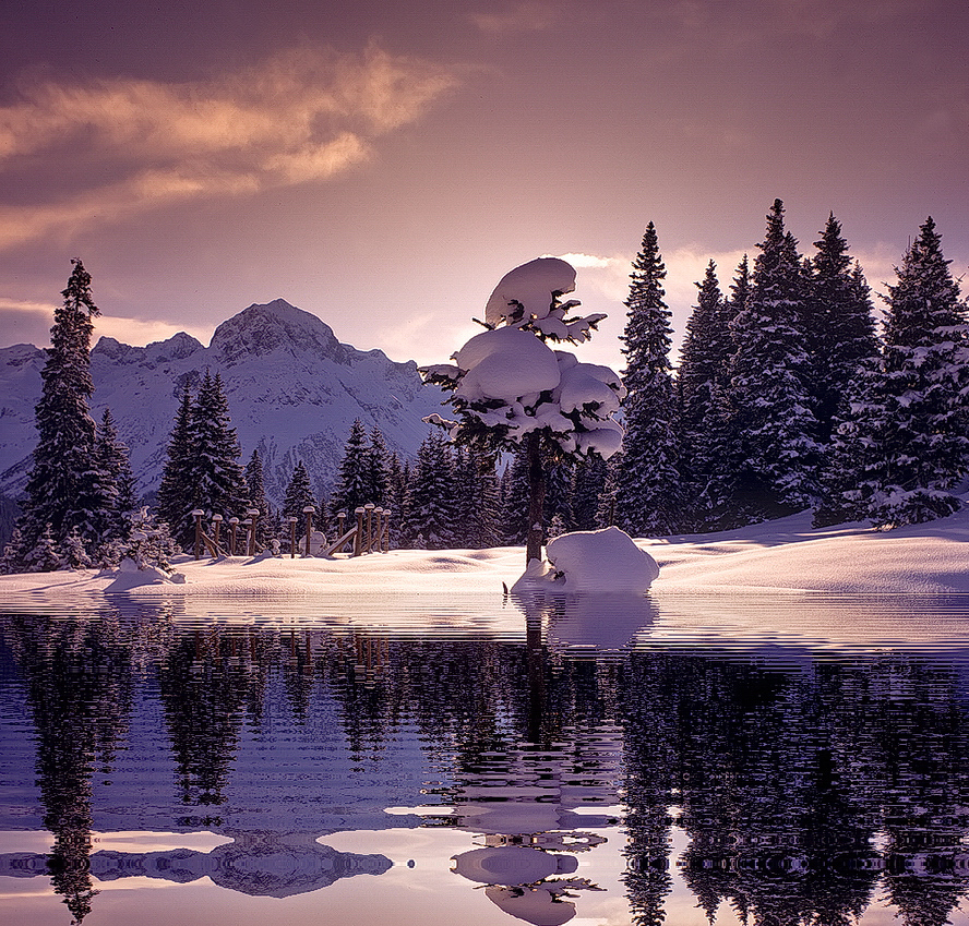 Winter von seiner schönsten Seite