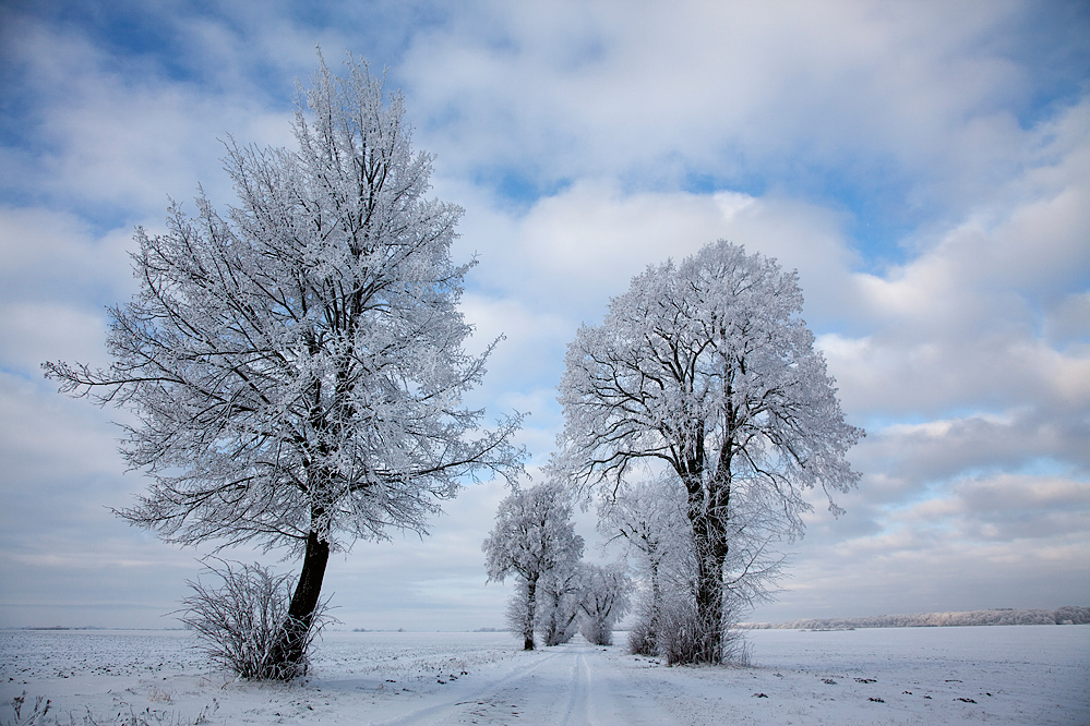 Winter  von seiner schönsten Seite