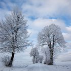 Winter  von seiner schönsten Seite