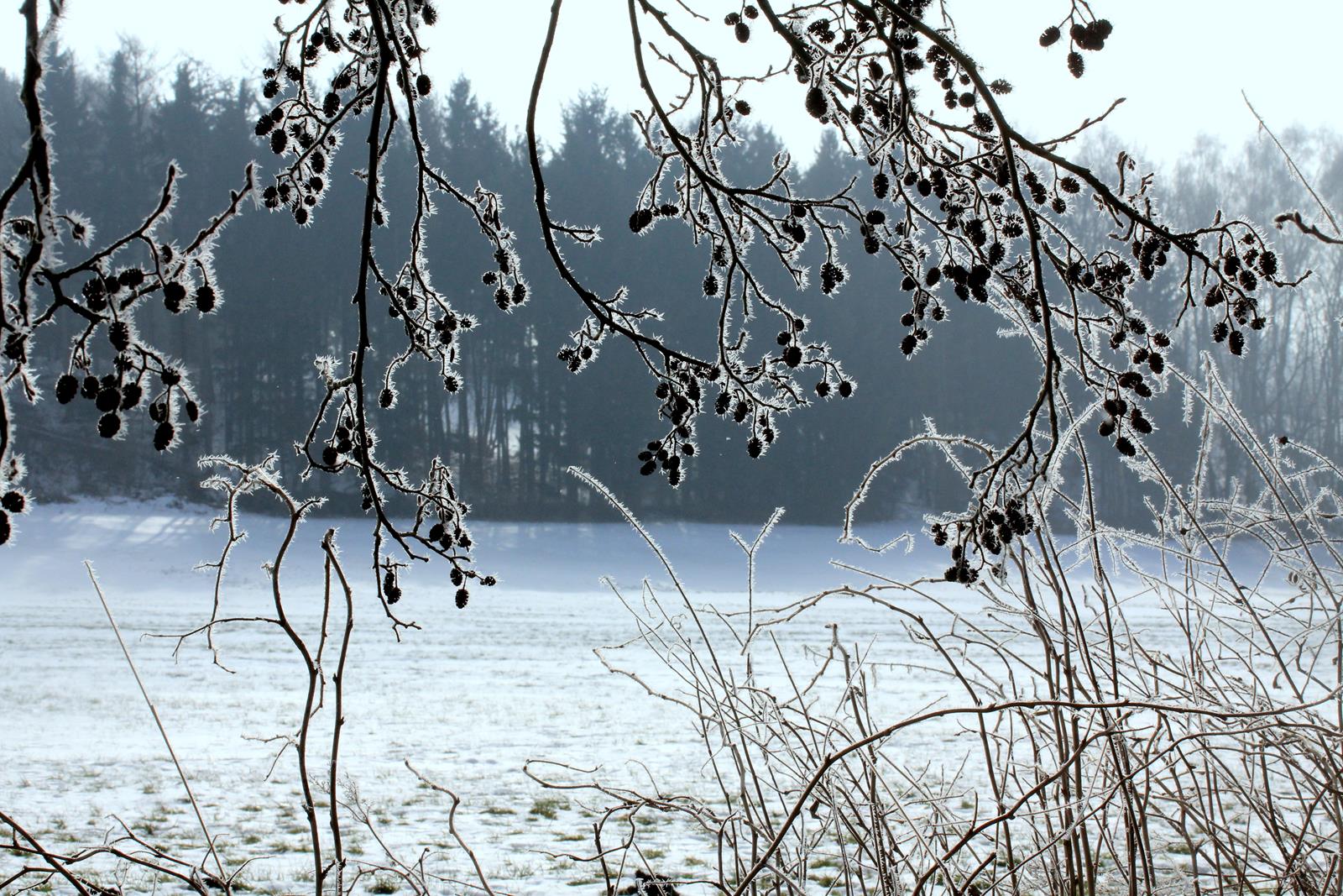 winter von seiner schönsten seite