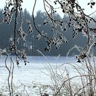 winter von seiner schönsten seite