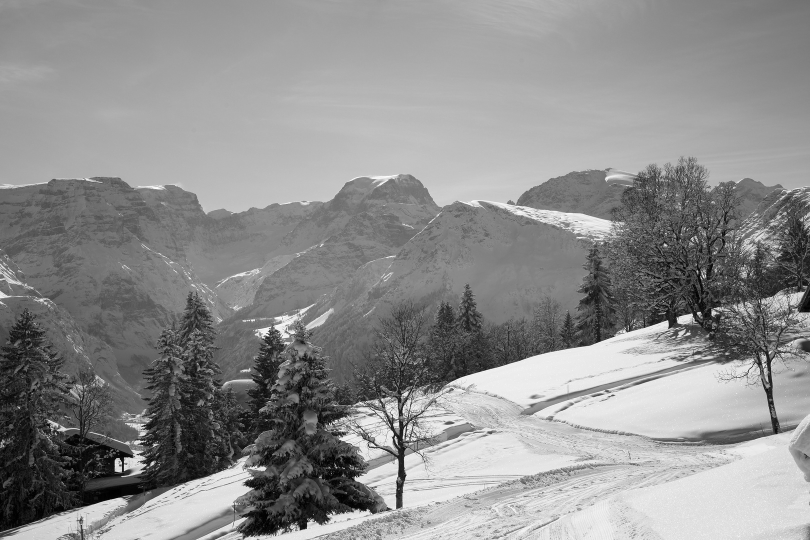 Winter von seiner schönsten Seite