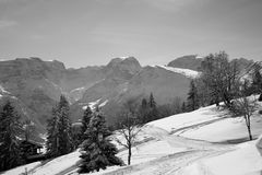 Winter von seiner schönsten Seite