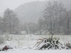 Winter vor dem Stickelberg 28.12.2003