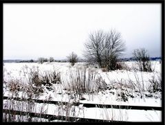 Winter vor den Toren Berlins