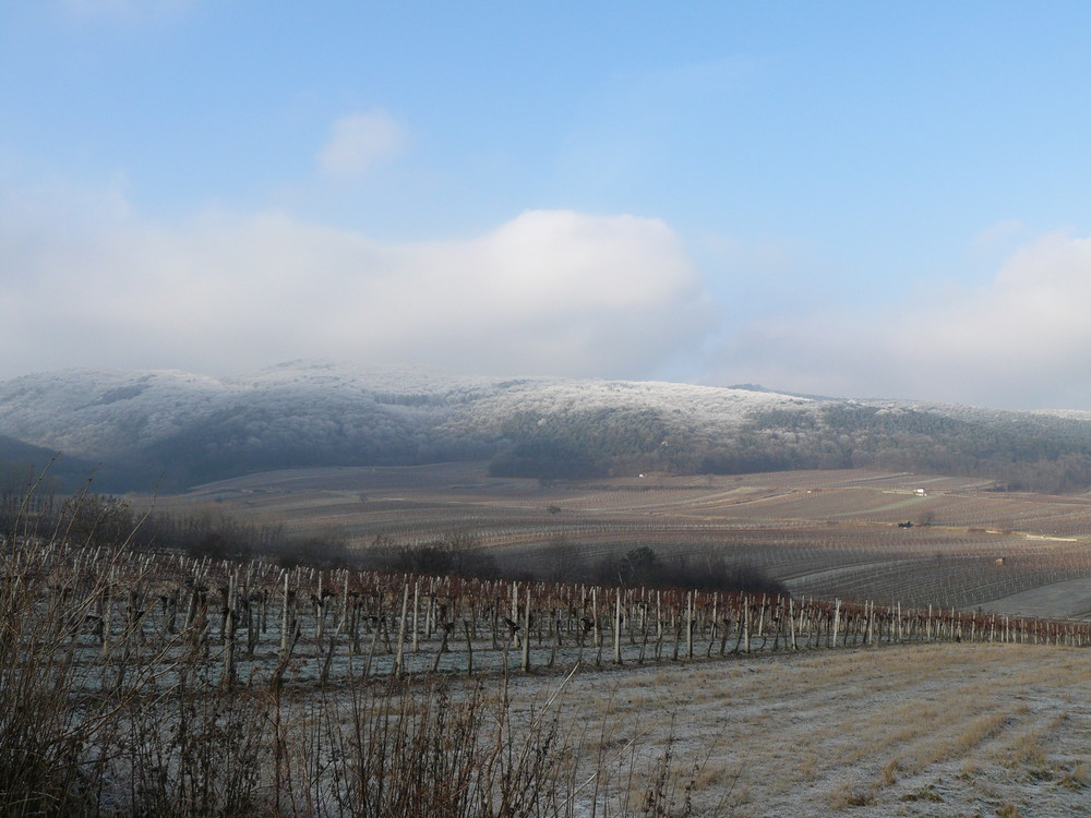 Winter vor den Toren Wiens