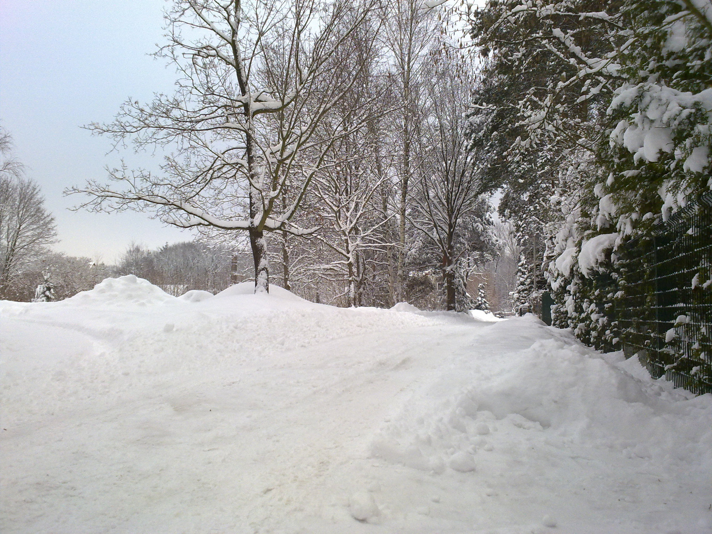 Winter vor der Haustür