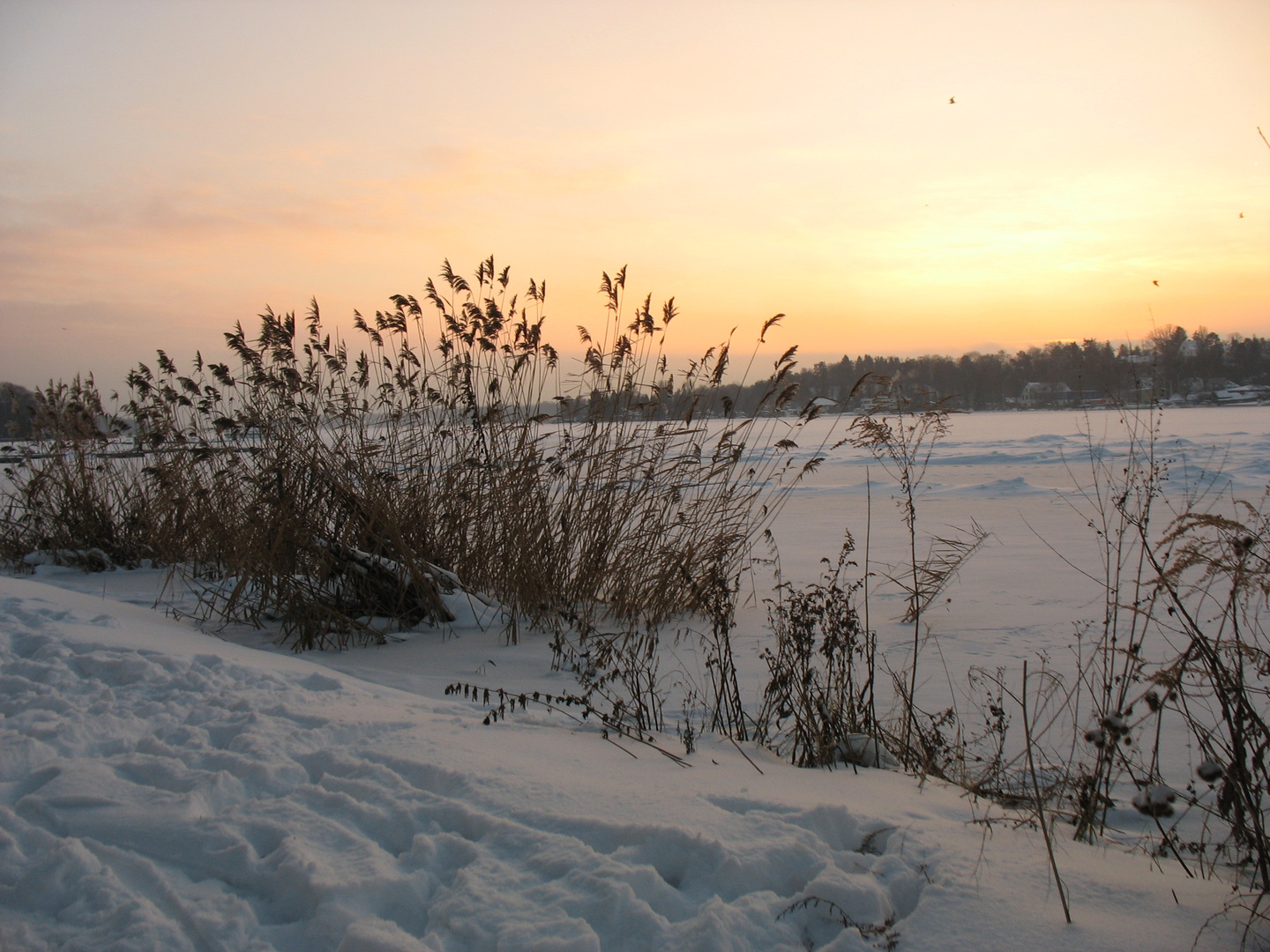 Winter vor der Haustür