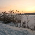 Winter vor der Haustür